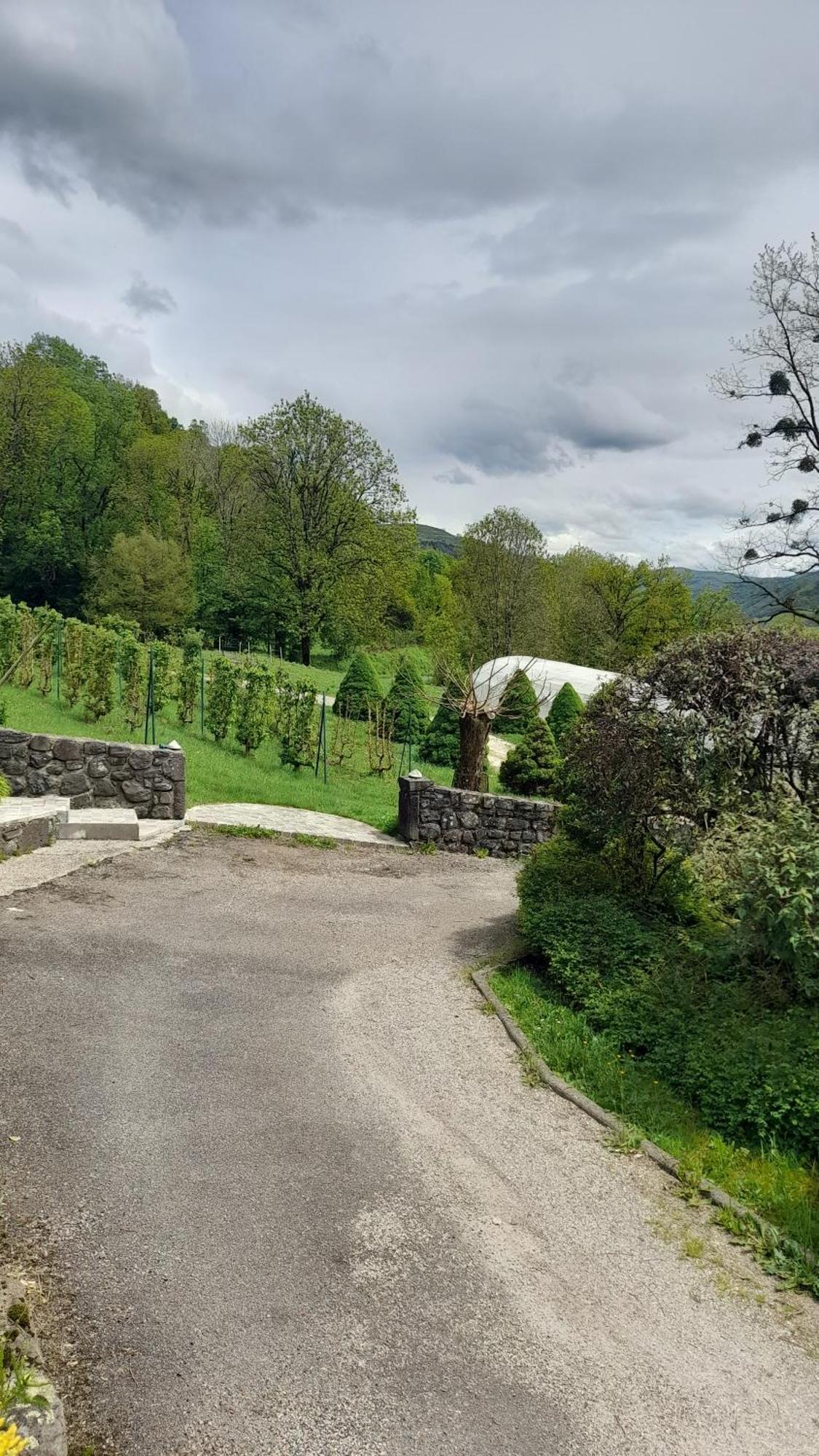 Chambre D'Hote Dans Le Cantal Vallee De La Maronne 圣马丹-瓦尔姆鲁 外观 照片